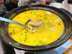-椿不老