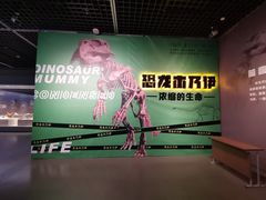 -台州博物馆