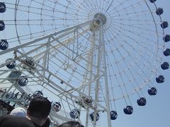 -秦皇岛乐岛海洋王国