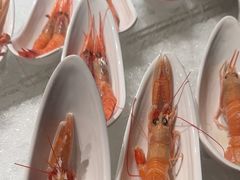 -雍容荟帝王蟹活龙虾展台自助(IFS黑金店)