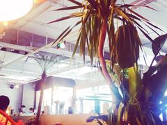 -the rug 飞毯 (朝阳公园店)