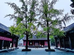 -房湖公园