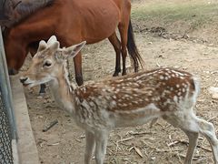 -西安秦岭野生动物园