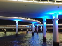 -演武大桥观景平台
