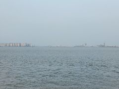 -海鸥岛