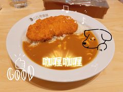 -COCO壱番屋(现代城店)