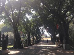 -广州雕塑公园