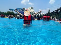 -苏州乐园森林水世界