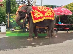 -大连森林动物园