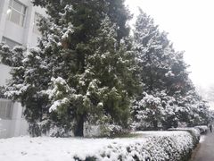 -北京邮电大学-清真餐厅