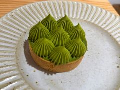 -猫里有甜