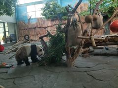 -泉州海丝野生动物世界