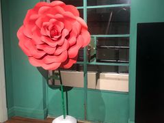 -OOAK设计师品牌概念店(新乐路店)