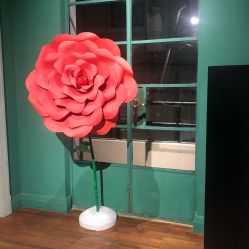 -OOAK设计师品牌概念店(新乐路店)