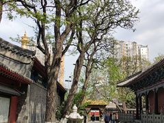 -护国法轮寺