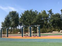 -羊亭河湿地公园