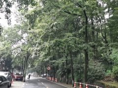 -国生茶庄·地道农家菜团建活动