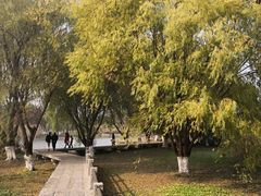 -长广溪湿地公园