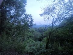 -分塔山省级森林公园
