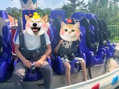 -长春公园(普阳街道)