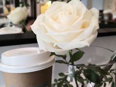 -Joymean coffee.见面咖啡