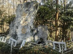 -音乐台