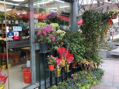 -证大大拇指广场(芳甸路店)