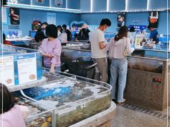 水产区-盒马鲜生(富田新天地店)