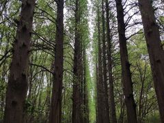 -同里国家湿地公园