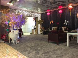 -丝情发艺 I SALON