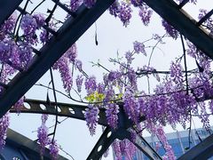 -黄兴公园