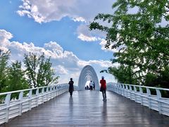 -大兴滨河森林公园