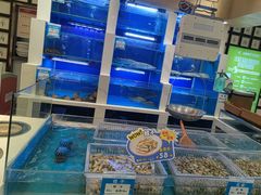 -丝路东方虾仁水饺(北京路二宫汇嘉店)