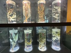 -广东中医药博物馆