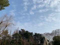 -红梅公园