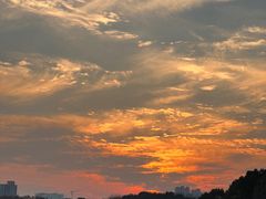 -昆山城市生态森林公园