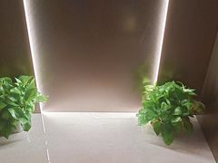 -星河湾温泉洗浴酒店