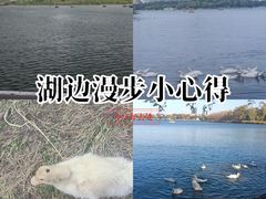 -长春市南湖公园