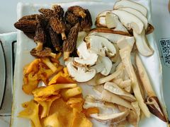 -蘑统田下·野生菌火锅