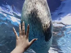 -上海海洋水族馆