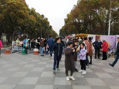 -高东镇樱花园
