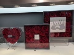 -ROSEONLY诺誓(广州K11店)