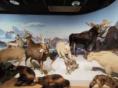 -陕西自然博物馆