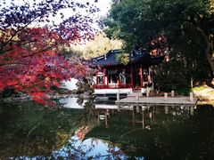 -汇龙潭