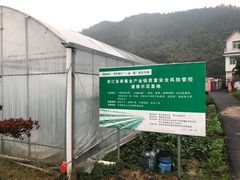 -建德果蔬乐园绪塘草莓基地