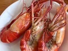 阳澄湖一号大虾-品鲜村农家菜·阳澄湖大闸蟹(总店)