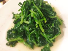 豌豆尖-钦善斋(武侯祠店)