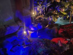 点击看大图 -恐龙探索乐园(磁器口店)