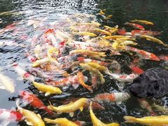 -湖鲜楼