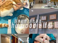-美迦爱-牙专科·兔科·骨科诊疗中心(北苑店)
